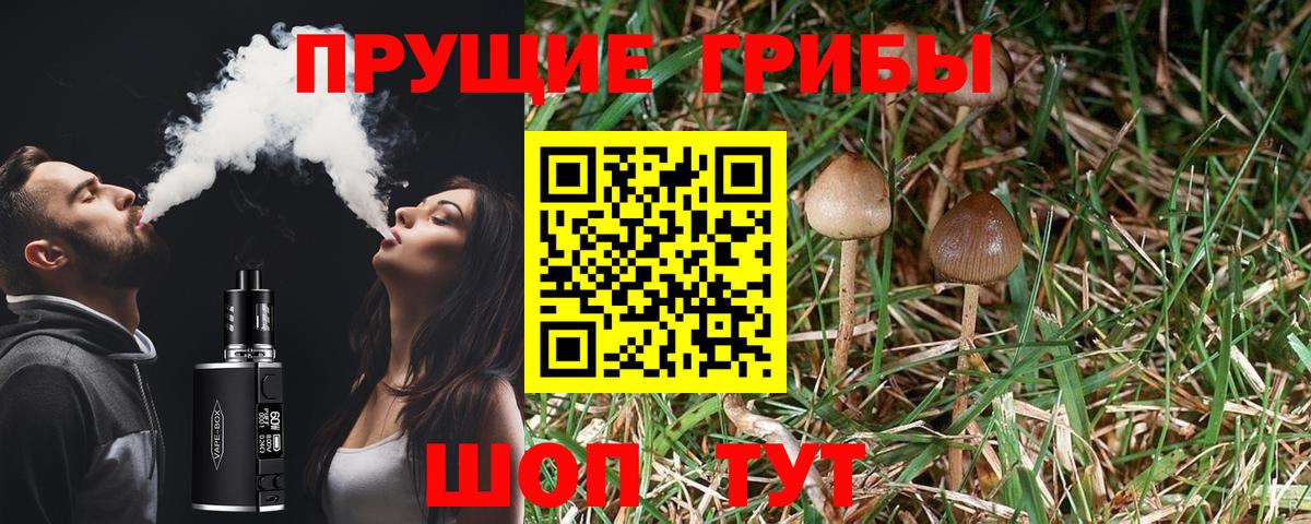 Псилоцибиновые грибы GOLDEN TEACHER Ртищево