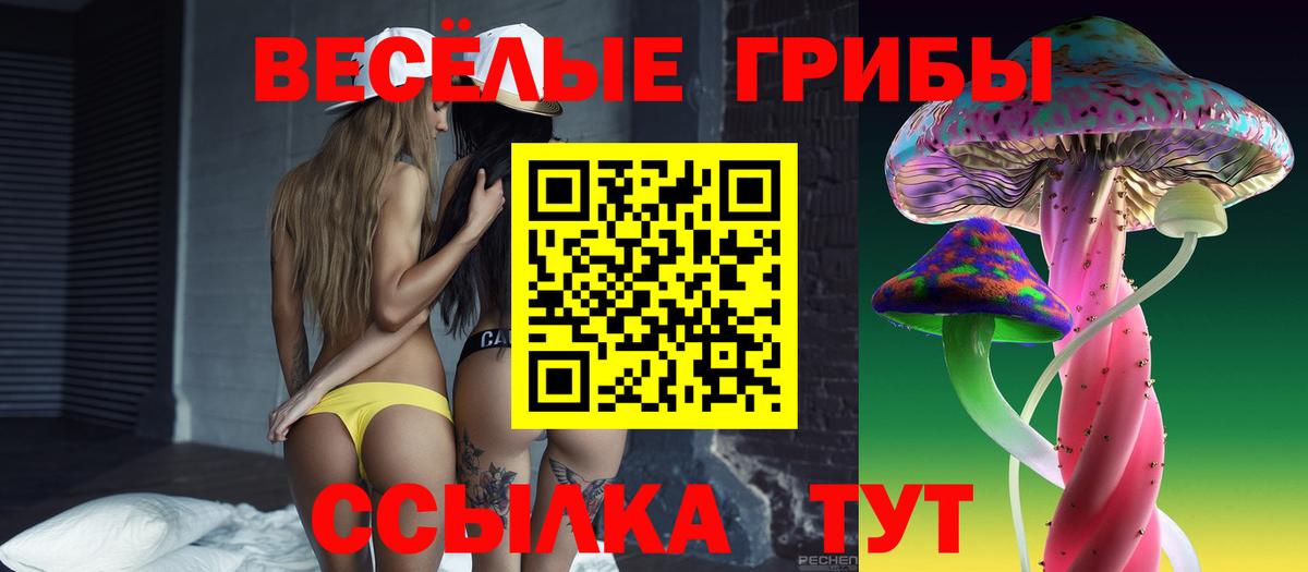 Псилоцибиновые грибы Magic Shrooms  Вход с VPN  Псилоцибиновые грибы ЛСД  Ртищево 